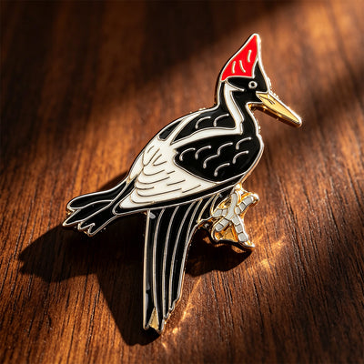 Hard Enamel Pin